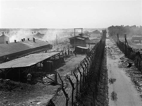 bergen-belsen concentration camp wikipedia